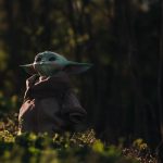 Anime - green bird on brown jacket