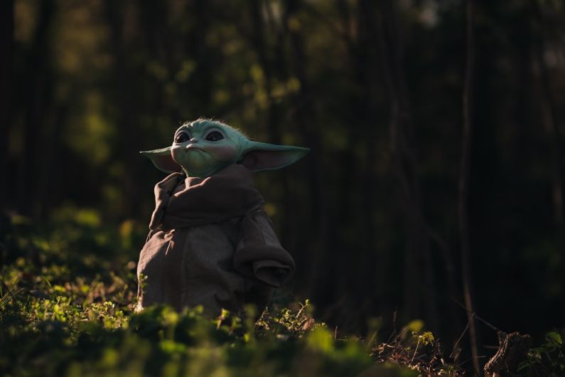 Anime - green bird on brown jacket